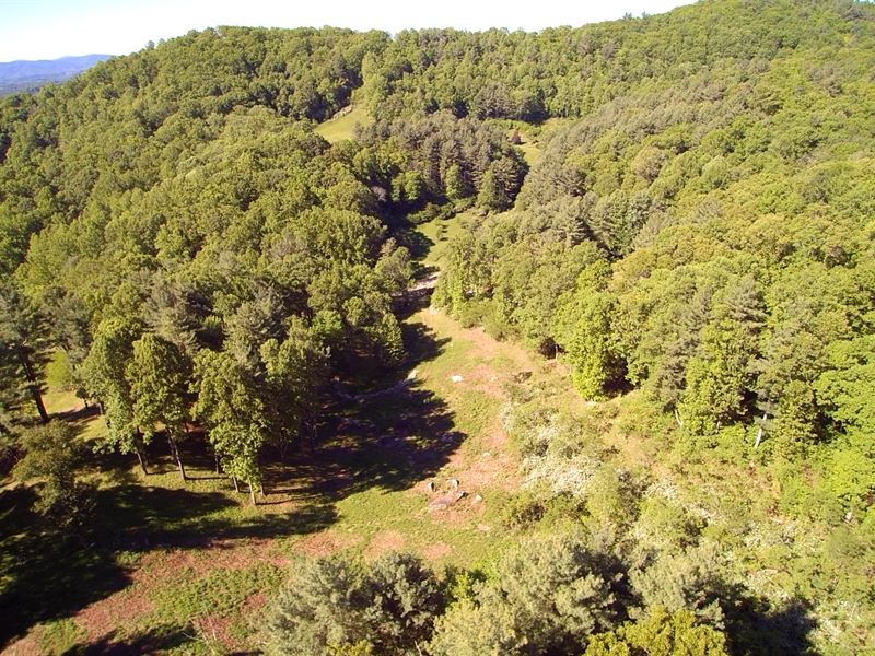 Small Acreage in Blue Ridge : Independence : Grayson County : Virginia