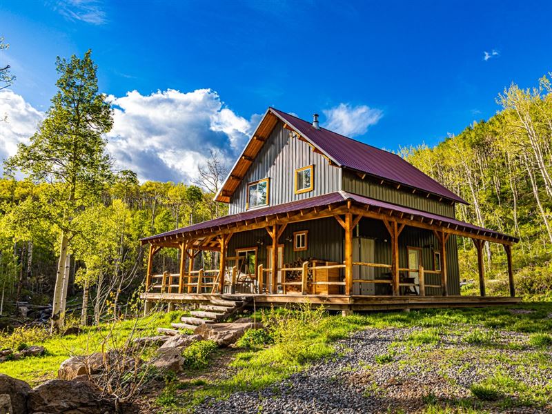 Cabin Bordering National Forest Farm for Sale in Cedaredge, Delta