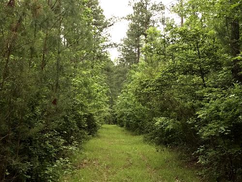 Parson Timberlands : Spring Grove : Prince George County : Virginia