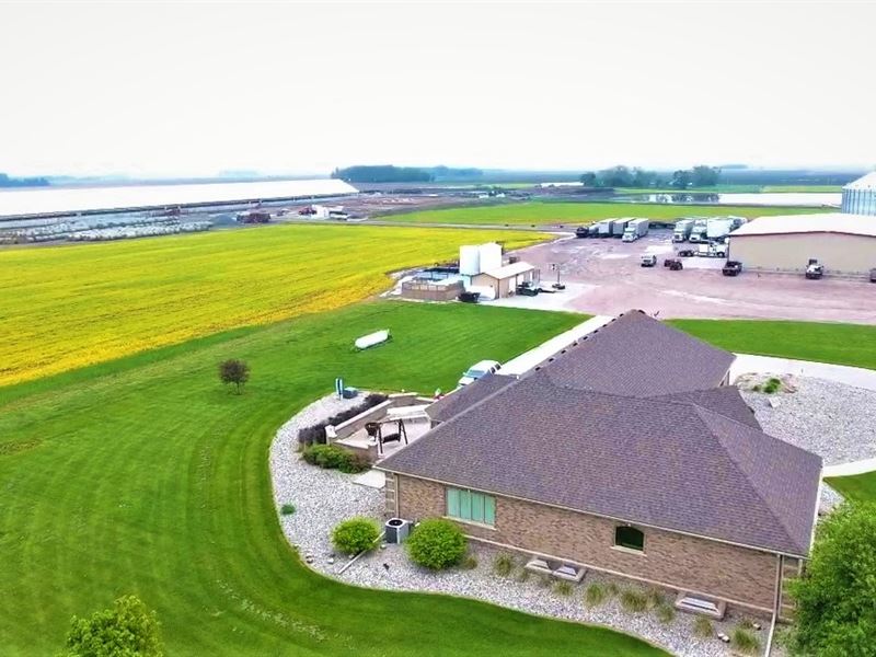 Nebraska Cattle Feedlot, Trucking : Humphrey : Platte County : Nebraska