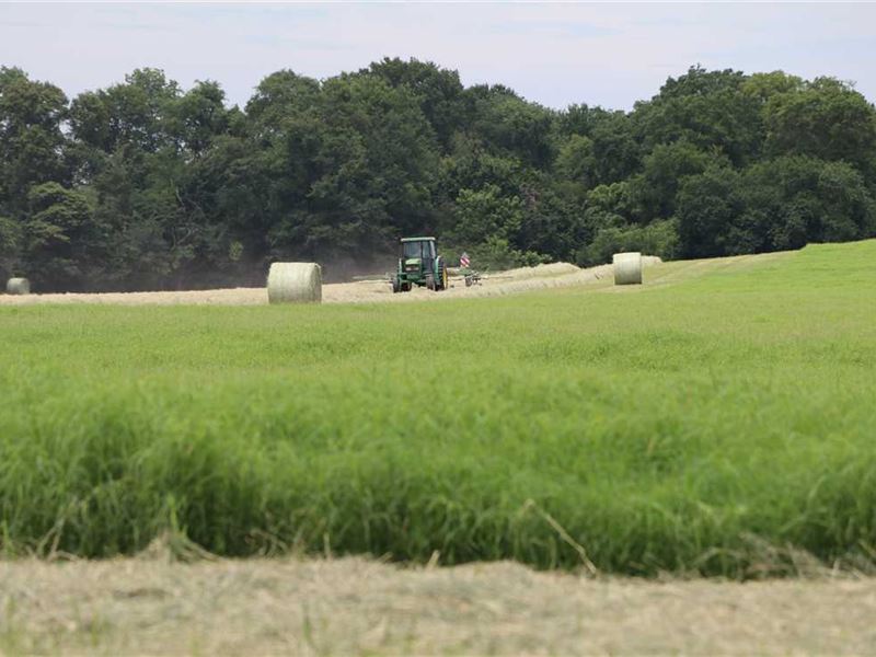 VZ Custom Hay Farm Farm for Sale in Wills Point, Van Zandt County