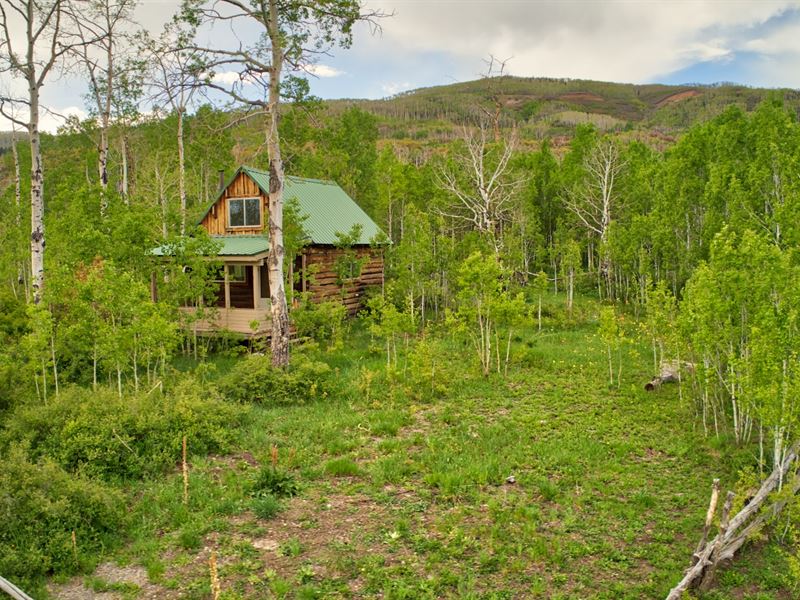 70 Acre Colorado Mountain Cabin, Farm for Sale in Colorado, 242722