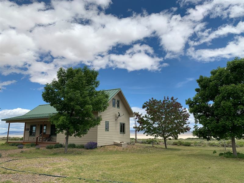 Custom Home On The Alvord For Sale Farm for Sale in Princeton, Harney