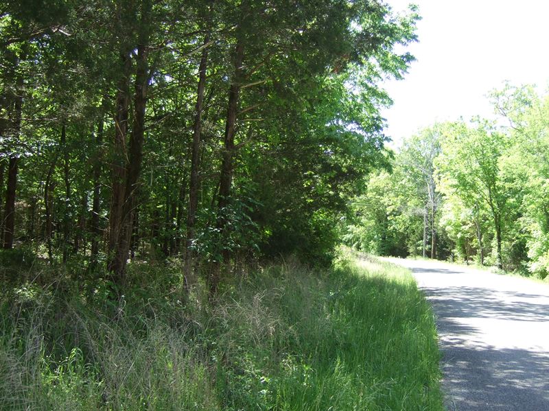 Arkansas Land for Sale, Farm for Sale in Arkansas, 242757 FARMFLIP