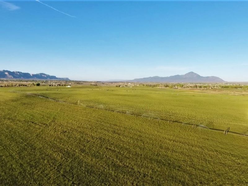 Quarter Circle E Ranch Farm for Sale in Cortez, Montezuma County