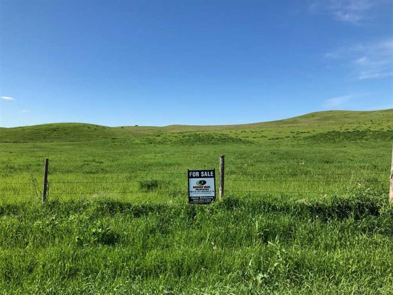 Tract 1, Boyd County, NE, Farm for Sale in Nebraska, 242990 FARMFLIP
