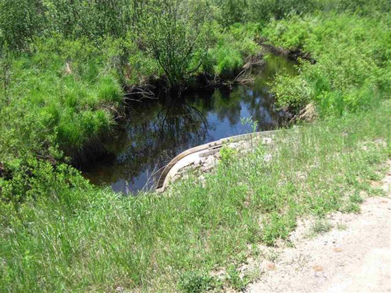 40 Acres, Sturgeon River, Farm for Sale in Michigan, 243104 FARMFLIP