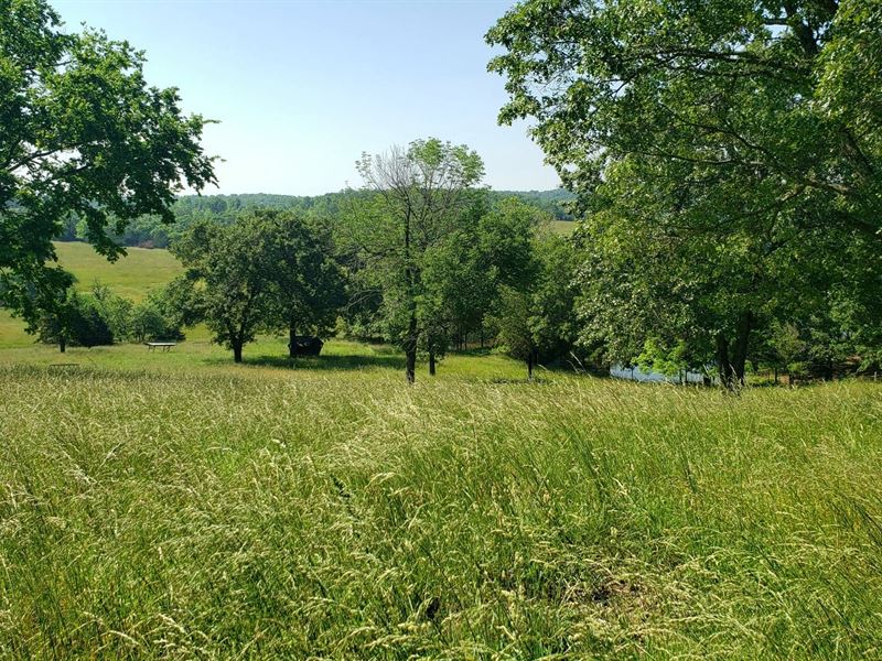 Pasture Ground with Water for Sale : Drury : Douglas County : Missouri
