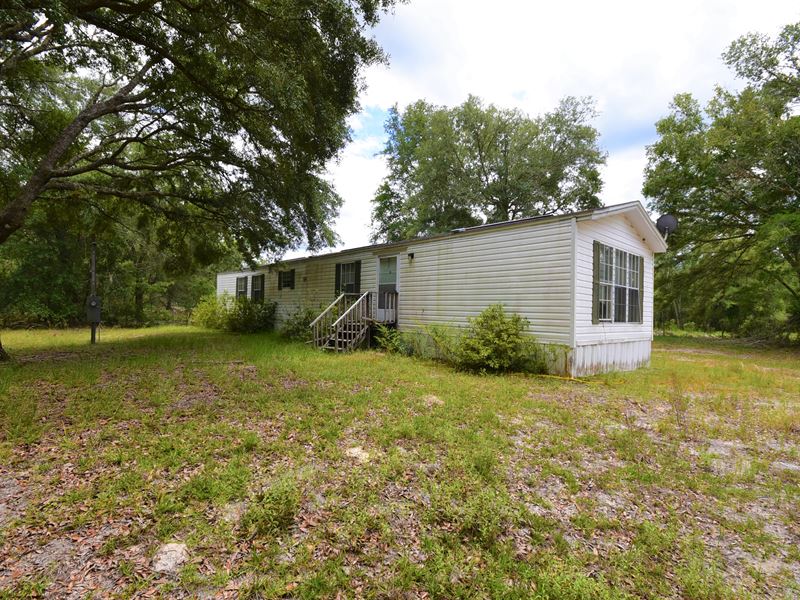 145 Acres with a Home in Dixie : Old Town : Dixie County : Florida