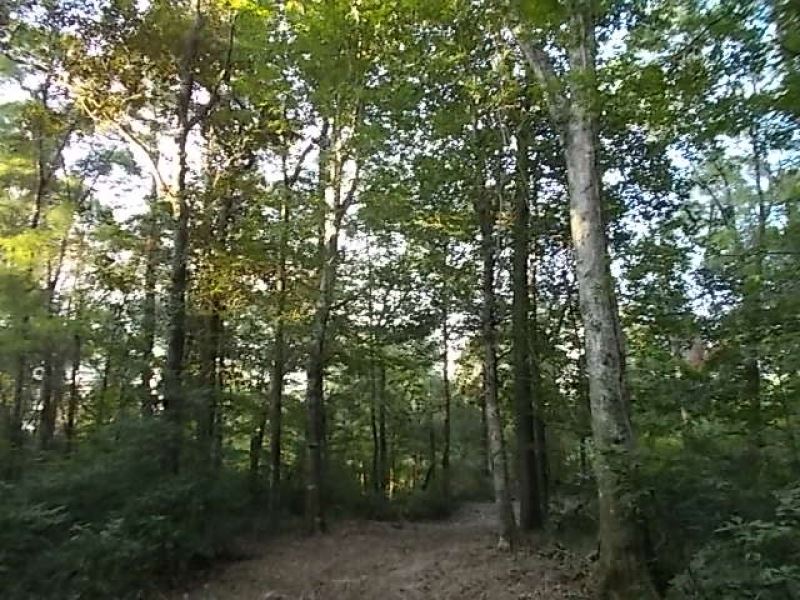 10 Acres On Magee's Creek, Farm for Sale in Mississippi, 243393 FARMFLIP