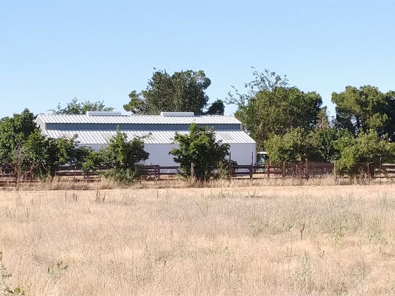 Davis, CA Country Home Organic Farm : Davis : Yolo County : California