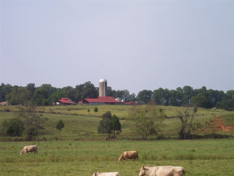 Open Pasture Land Farm with 3 Ponds, Farm for Sale by Owner in Virginia
