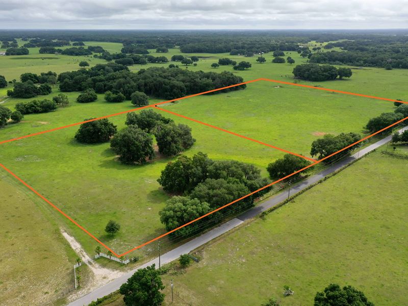 Sumter County Ranchettes, 10 Acres, Farm for Sale in Florida, 244014