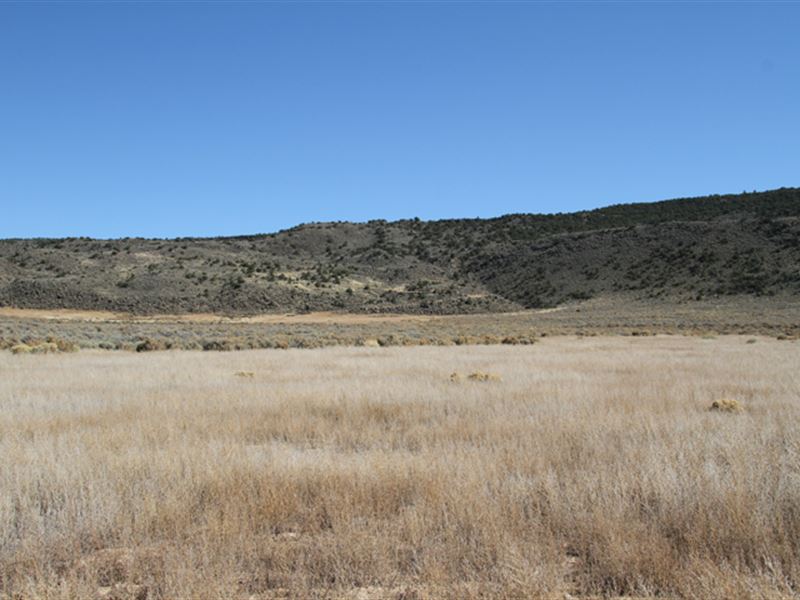 5 Acres, San Luis Valley : Blanca : Costilla County : Colorado