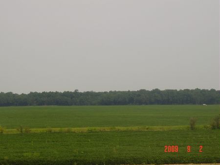 300 Acre Farm L'anguille River : Palestine : Saint Francis County : Arkansas