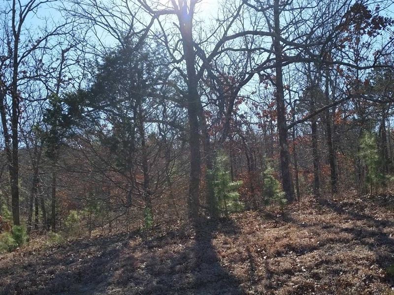 Buffalo Valley Wild Hunt Ground, Farm for Sale in Oklahoma, 244318