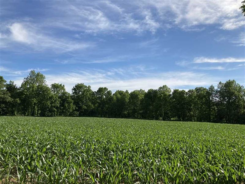 53 Acres Farm Land with Home, Farm for Sale in Indiana, 244351 FARMFLIP