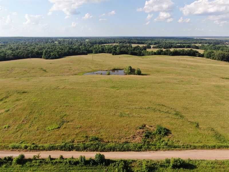 Improved Pasture with Some Timber : Cord : Independence County : Arkansas