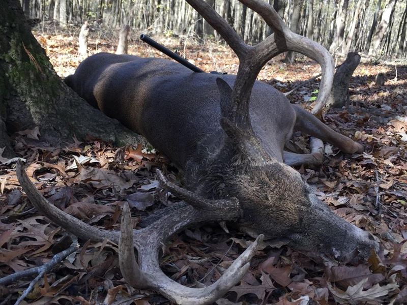 The Crowley's Ridge Foothills, Farm for Sale in Arkansas, 244470