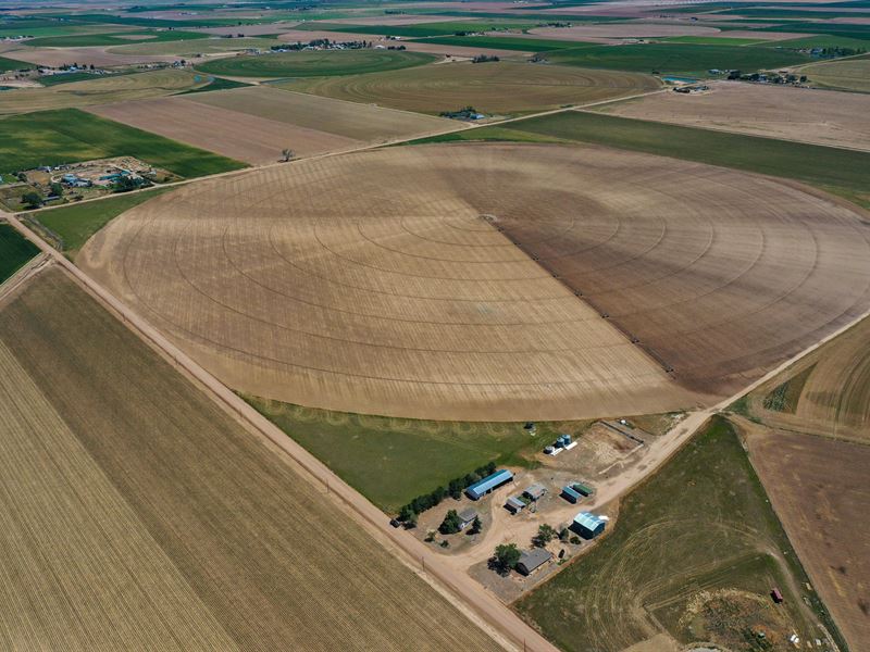 Keenesburg Organic Farm Water, Farm for Sale in Colorado, 244473