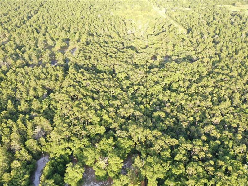 13020 Stricklands Bridge Road, Farm for Sale in Florida, 244487 FARMFLIP