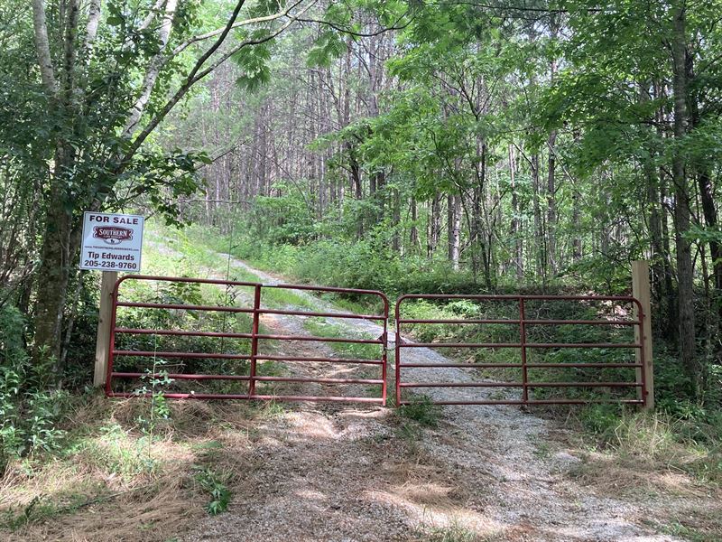 Davis Timber Tract Farm for Sale in Clanton, Chilton County, Alabama