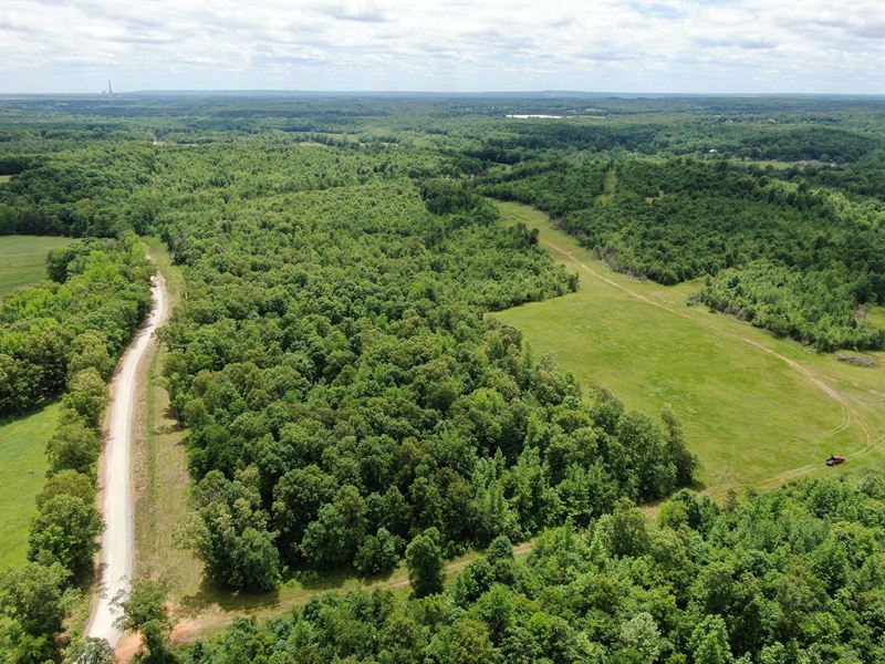 Dota Creek Pasture & Woods Paradise : Charlotte : Independence County : Arkansas