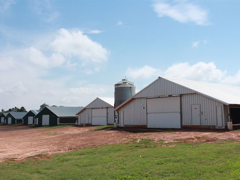 Marvelous 6 Broiler House Farm, Farm for Sale by Owner in 244642 FARMFLIP