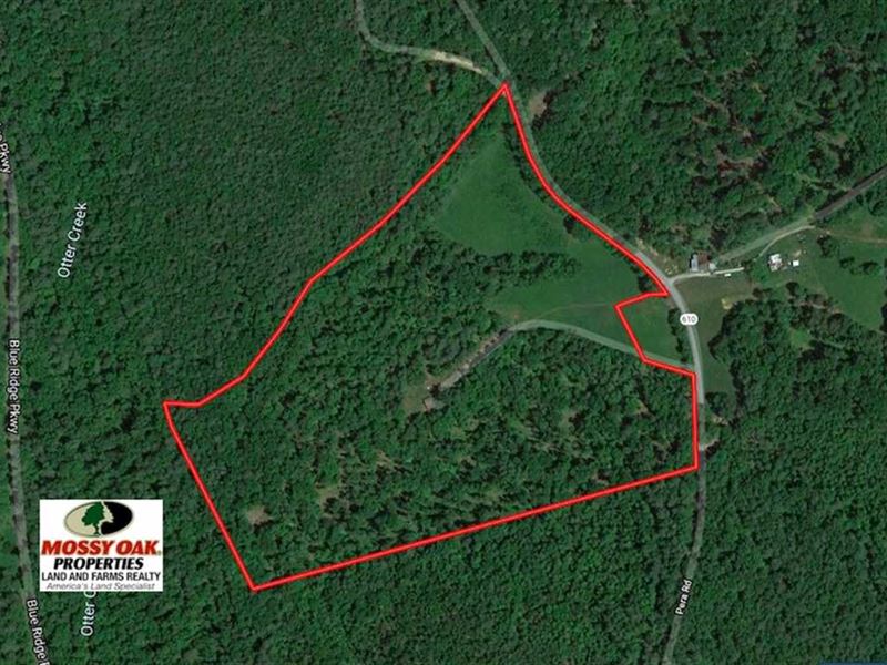 39 Acres of Hunt, Farm for Sale in Virginia, 244661 FARMFLIP