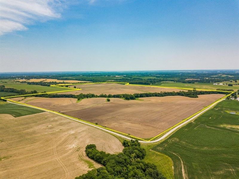 Tillable Row Crop Farm Land Auction : Gilliam : Saline County : Missouri