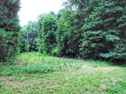 Peeksville Road : Locust Grove : Henry County : Georgia