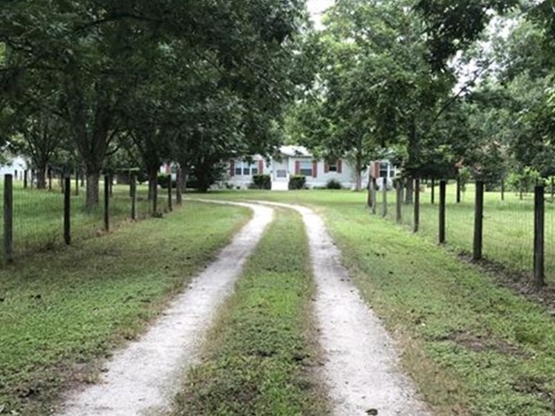 18.43 Acres in Hawthorne, FL Mh238 Farm for Sale in Hawthorne