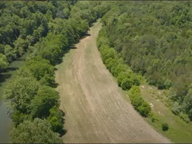 124 Acre Mountain Property : Harrogate : Claiborne County : Tennessee
