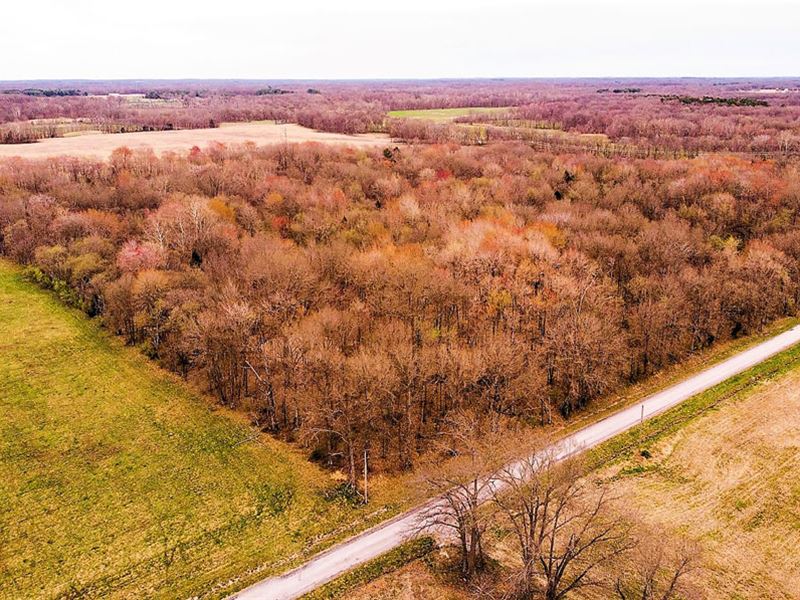 Hard to Find All Timber Tract, Farm for Sale in Illinois, 245028
