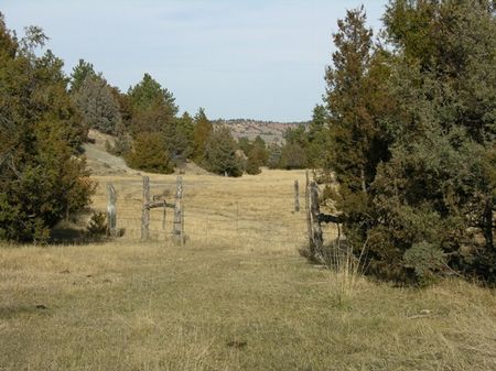 Bay Horse Creek Ranch : Biddle : Powder River County : Montana