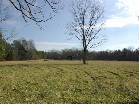 Horses-deer-pasture-timber : Ashville : Saint Clair County : Alabama