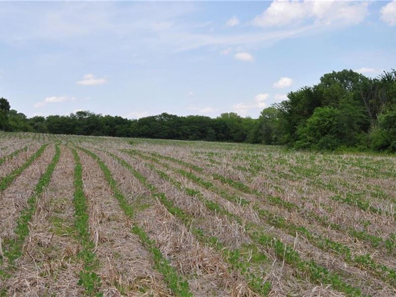 40 Acre Farm, Excellent Hunting, Farm for Sale in Missouri, 245560