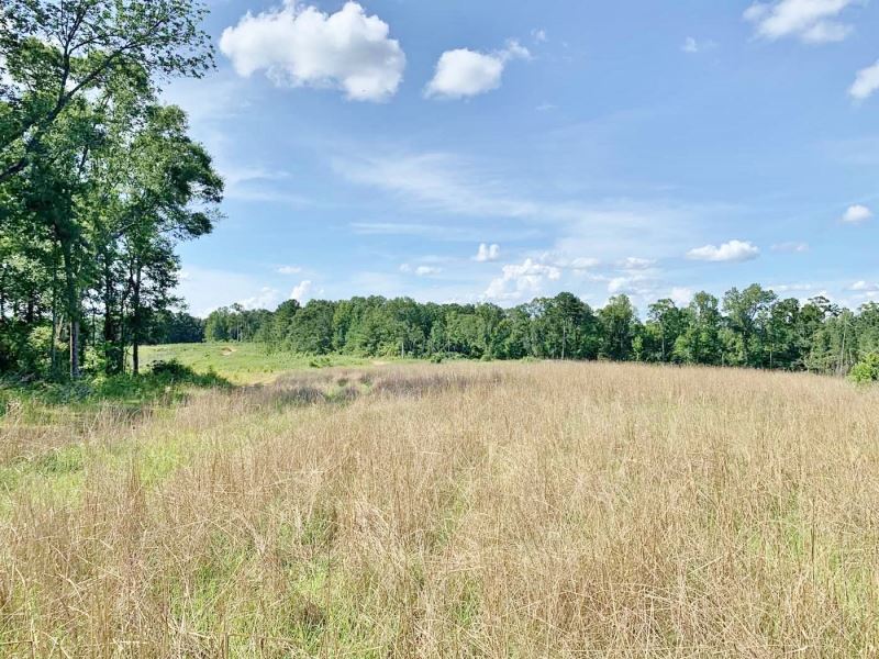 345 Acres Timber Hunting Land Jeffe : Lorman : Jefferson County : Mississippi