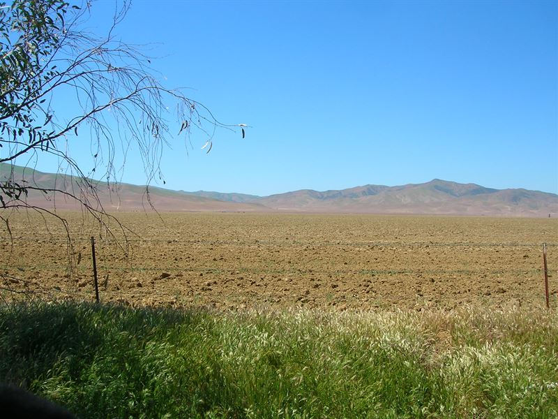 So Cal San Joaquin Valley Farmland, Farm for Sale by Owner in California, 245892 FARMFLIP
