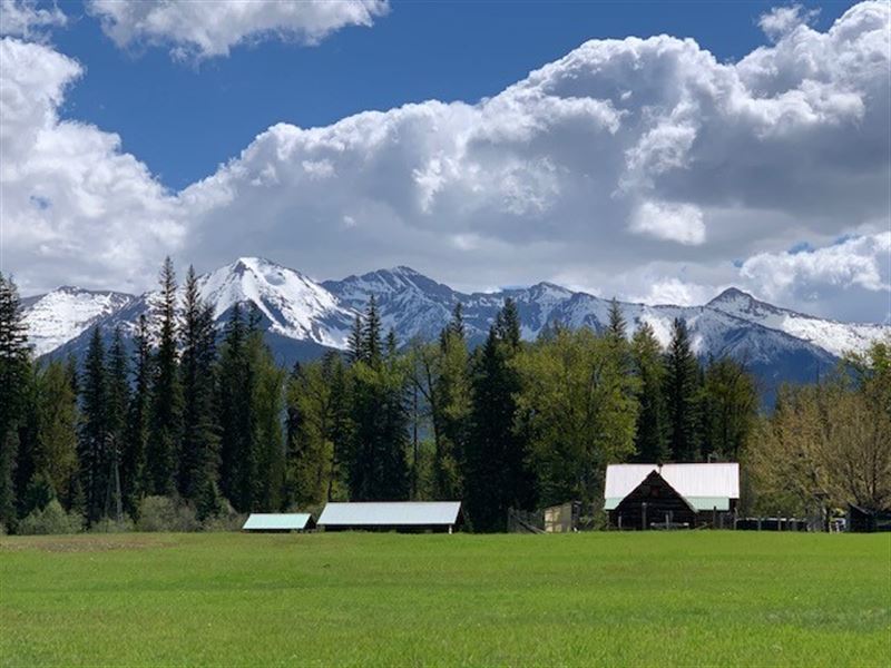 Homestead Ranch : Condon : Missoula County : Montana