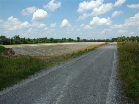 Lowcountry Farm : Florence : Florence County : South Carolina