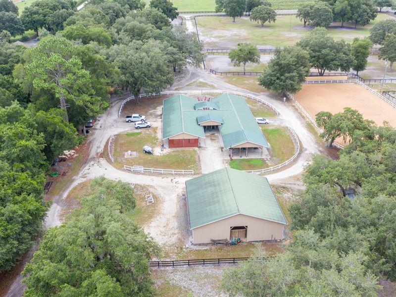 Spellbound Farms A-486 : Summerfield : Marion County : Florida