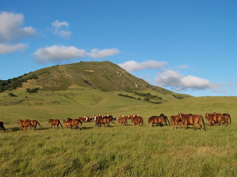 Historic Alex Madonna-Alberti Ranch : San Luis Obispo : San Luis Obispo County : California