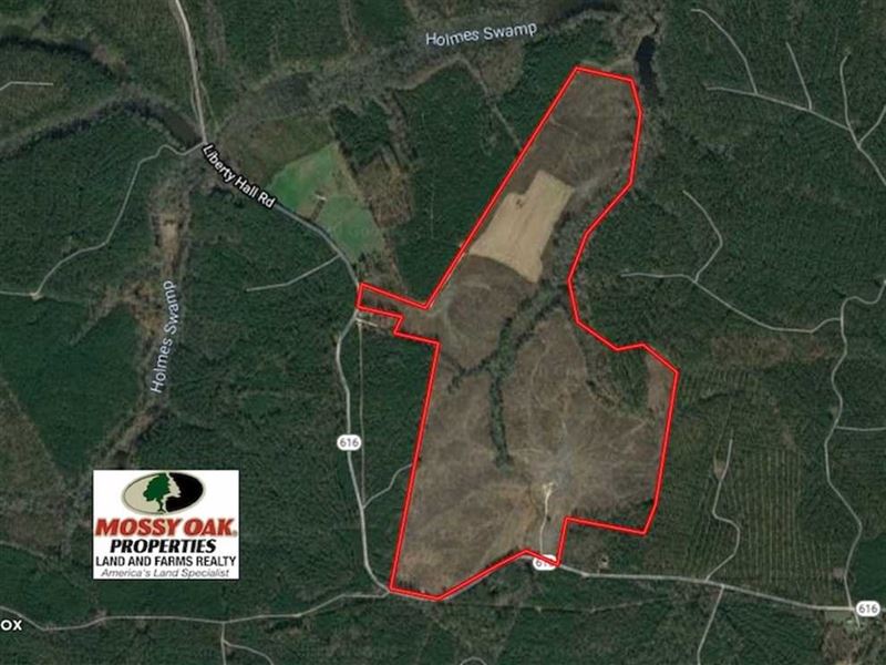187 Acres of Hunting Residential Farm for Sale in King And Queen