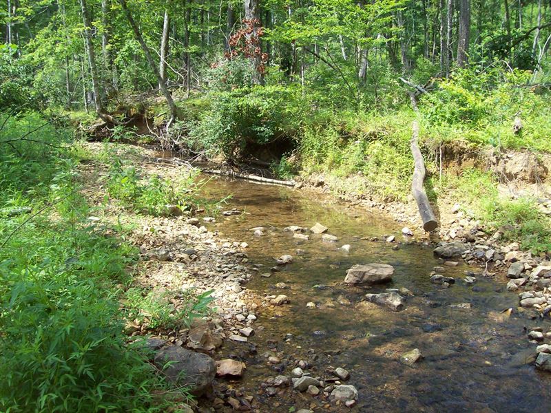 Recreational, Hunting Land in TN, Farm for Sale in Tennessee, 246190