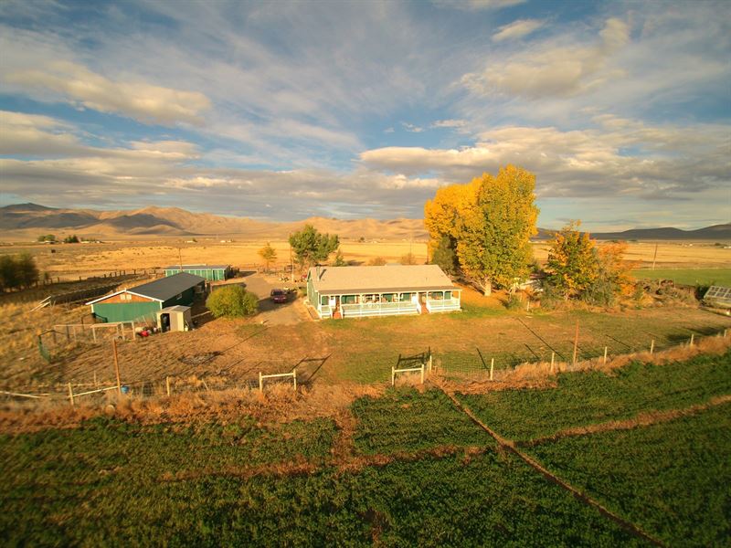 Nevada, Winnemucca Hay Farm, Cattle, Farm for Sale in Nevada, 246518
