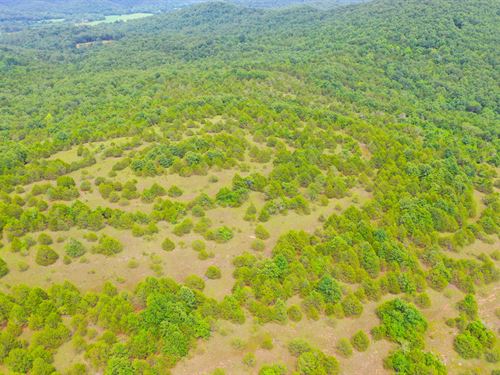 Hunting Land for Sale Gainsville MO : Gainesville : Ozark County : Missouri