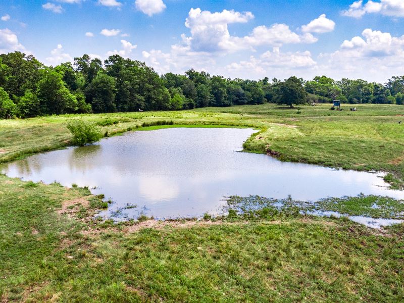 Hay Cattle Production 32 Acres East, Farm for Sale in Texas, 246615