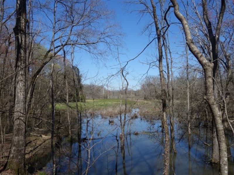 Wooded Acreage, Water View, in Town : Rock Hill : York County : South Carolina