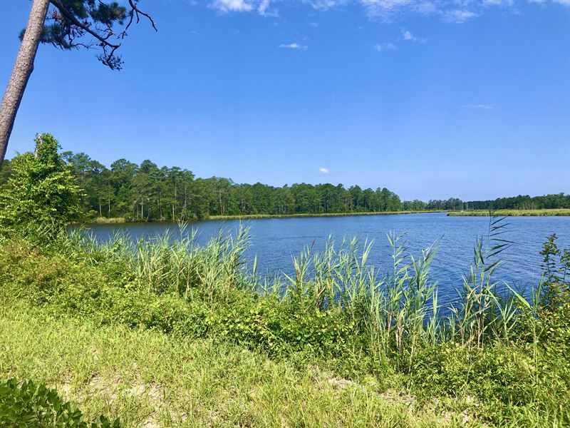 Waterfront Property in Bath, NC, Farm for Sale in North Carolina